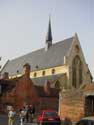 Begijnhofkerk Sint-Jan-de-Doper LEUVEN / BELGIË:  
