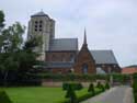 Sint-Martinuskerk (te Wezemaal) WEZEMAAL / ROTSELAAR foto:  