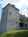 Ferme de la Cour ( Ragnies) RAGNIES  THUIN / BELGIQUE: 