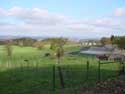 Landschap MARCHE-EN-FAMENNE / BELGIUM: 