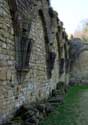 Ruins and museum of the Old Abbey of Orval VILLERS-DEVANT-ORVAL in FLORENVILLE / BELGIUM: 