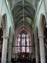 Sint-Lambertuskerk (te Kessel) NIJLEN / BELGI: Verticaliserend schip, overkluisd met hoge kruisribgewelven.