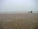 Beach OOSTENDE / BELGIUM: Winter view: wife with 3 children while snow falls on January 1th 2004.