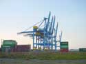 Containerkranen ZEEBRUGGE / BRUGGE foto: 