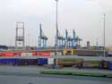 Containerkranen ZEEBRUGGE in BRUGGE / BELGIË: 