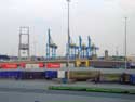 Container cranes ZEEBRUGGE / BRUGGE picture: 