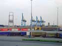 Containerkranen ZEEBRUGGE in BRUGGE / BELGI: 