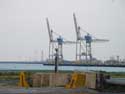 Container cranes ZEEBRUGGE / BRUGGE picture: 