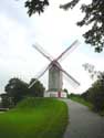 Koeleweimolen (Bosterhoutmolen) BRUGGE / BELGI: 