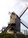 Moulin du vent fraîche (Moulin de bois de Boster) BRUGES photo: 