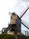 Moulin du vent frache (Moulin de bois de Boster) BRUGES / BELGIQUE: 