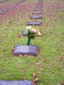 German Cemetry de Vladslo DIKSMUIDE in DIXMUDE / BELGIUM: 