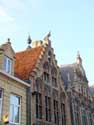 The Falcon (hawk) VEURNE / BELGIUM: 