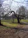 Chteau de Maurissens- Parc du UZ Pellenberg PELLENBERG / LUBBEEK photo: 