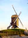 Houten windmolen (Levande Molins) te Rullegem HERZELE foto: 