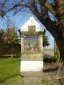 Chapel and lime-tree (in Issegem (Balegem)) OOSTERZELE / BELGIUM: 