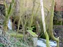 Moulin de Bruyre SINT-LIEVENS-HOUTEM / BELGIQUE: 