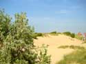 Duinen, strand en zee KOKSIJDE / BELGI: 