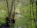 Hermeton near Vodele VODELE in DOISCHE / BELGIUM: 