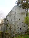 Ruins of Poilvache (in Evrehailles) YVOIR / BELGIUM: 