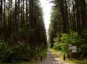 Cycle Path BEVERLO in BERINGEN / BELGIUM: 