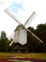 Windmill of Sevens OVERPELT picture: 