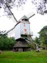 Windmolen van Sevens OVERPELT foto: 