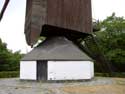 Teasing Mill, Mill of the Cat forest LOMMEL / BELGIUM: 