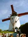 Witte Molen Roksem OUDENBURG / BELGI: 