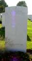 Brits Militair kerkhof Poelkapelle LANGEMARK-POELKAPELLE / LANGEMARK - POELKAPELLE foto: 