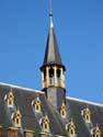 Stadhuis GERAARDSBERGEN foto: Dakruiter en dakkapelletjes doorbreken het zadeldak.