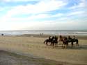 Strand en zee DE PANNE / BELGI: Eén van de attracties zijn ruiters.