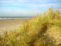 Strand en zee DE PANNE / BELGI: 