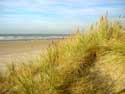 Strand en zee DE PANNE foto: 