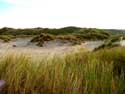 De Westhoek (natuurreservaat) - Romeinse Vlakte DE PANNE foto: 