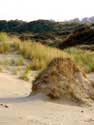 De Westhoek (natuurreservaat) - Romeinse Vlakte DE PANNE / BELGI: 