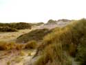 De Westhoek (natuurreservaat) - Romeinse Vlakte DE PANNE / BELGI: 