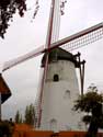 Moulin Rysselende PITTEM / BELGIQUE: 