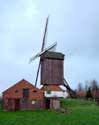 Pietendries mill KNESSELARE / BELGIUM: 