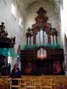 Sint Jan Baptist en Evangelist kerk MECHELEN / BELGIË: Orgelkast door Pieter Valckx. 