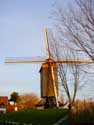 Moulin du veau KNOKKE / KNOKKE-HEIST photo: 