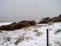 Besneeuwde duinen en strand OOSTENDE foto: Zicht vanuit de besneeuwde duinen op de zee