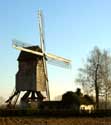 Molen 't Dal - Meuleken 't Dal ZINGEM foto: 