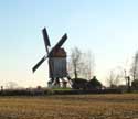 Molen 't Dal - Meuleken 't Dal ZINGEM / BELGI: 