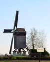 Molen 't Dal - Meuleken 't Dal ZINGEM foto: 