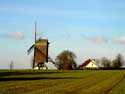 Huisehoutermill (in Huise) ZINGEM / BELGIUM: 