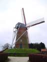 Heath Mill PULDERBOS in ZANDHOVEN / BELGIUM: 