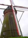 Heath Mill PULDERBOS in ZANDHOVEN / BELGIUM: 