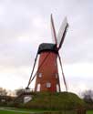Old Windmill RANST picture: 