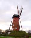 Oude windmolen RANST / BELGI: 